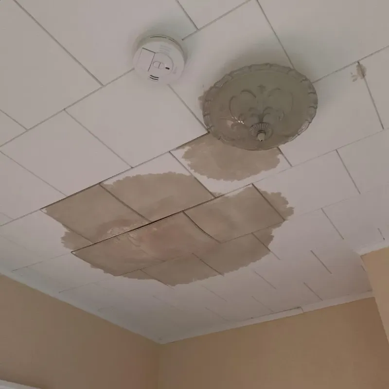 Ceiling Water Damage Repair in Lincoln Park, NY