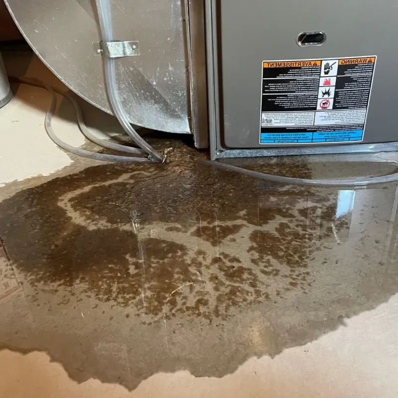 Pipe Burst and Leak Restoration in Lincoln Park, NY